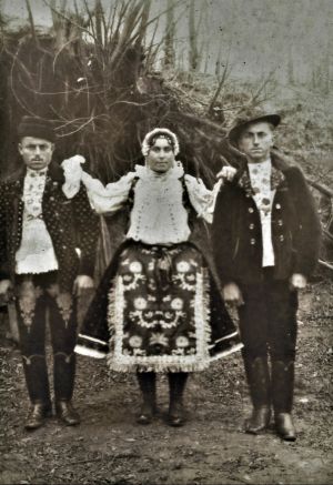 ivankovics testverek